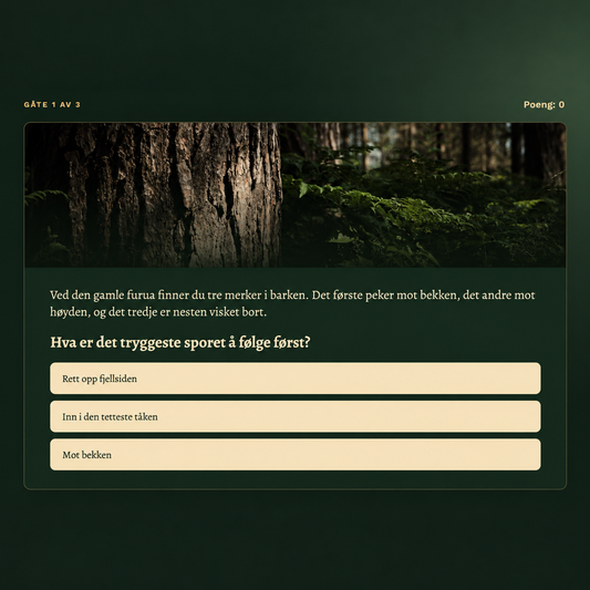 TURMYSTERIET – Eventyr venter ute | Digitalt mysteriumspill