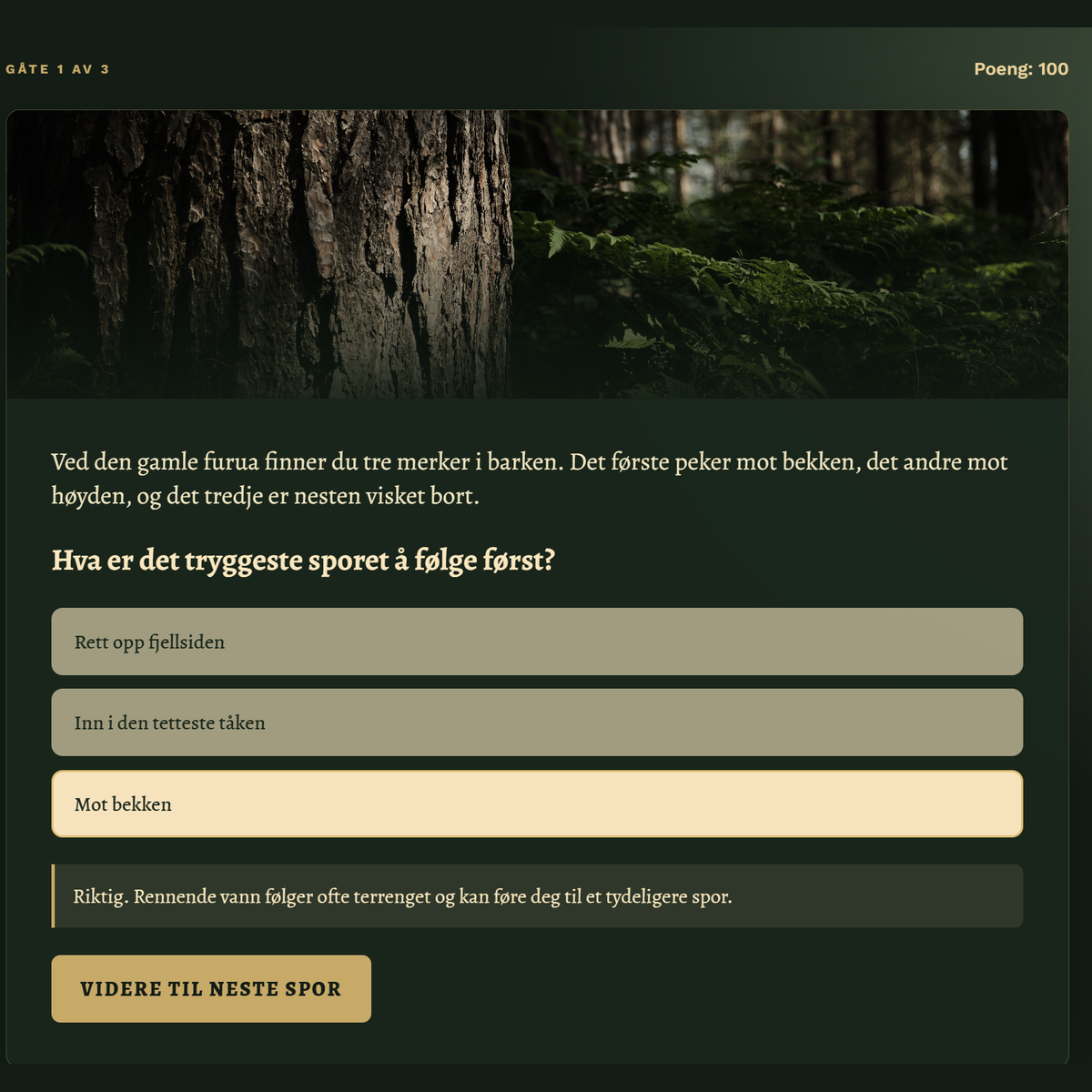 TURMYSTERIET – Eventyr venter ute | Digitalt mysteriumspill