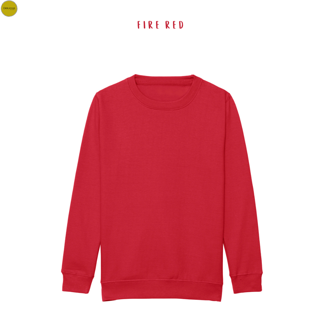 Classic crew neck sweater for kids 