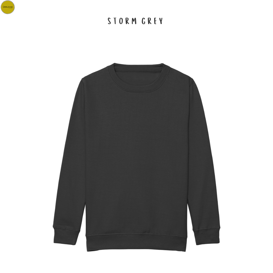 Classic crew neck sweater for kids 