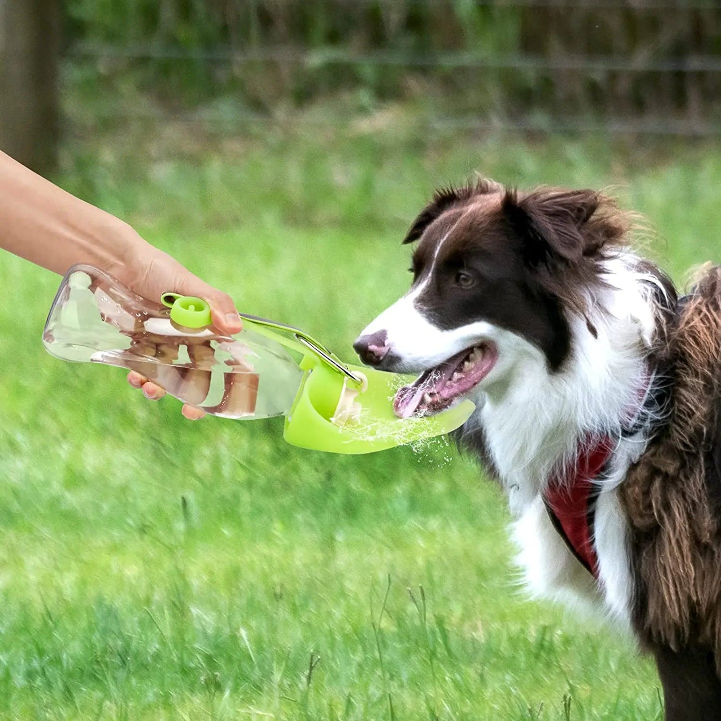 Hund drikker vann fra reisevennlig vanndispenser med skål