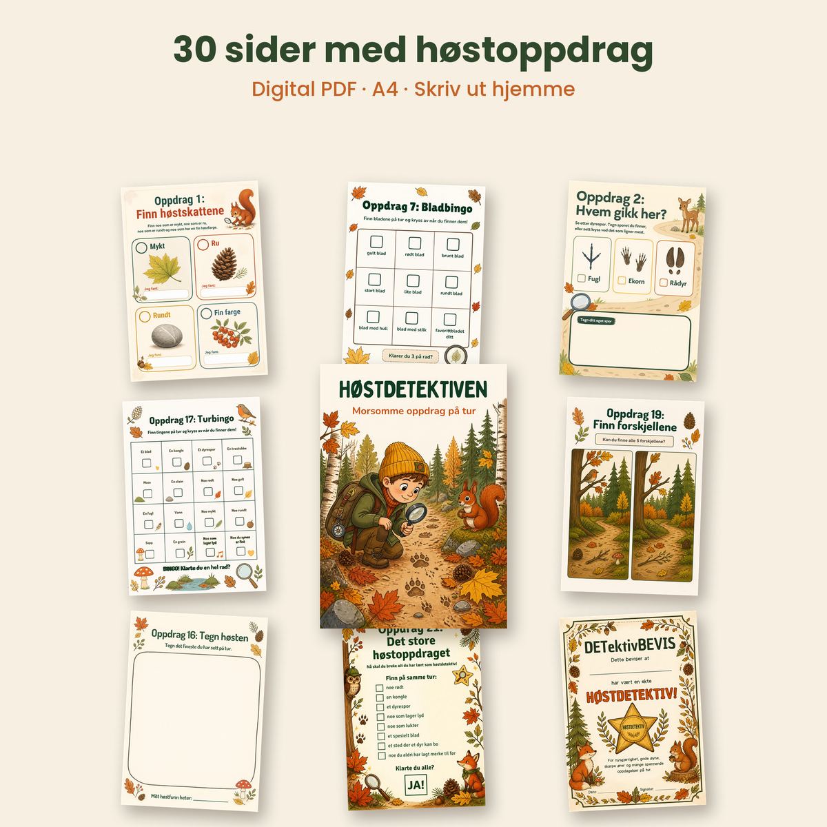 Høstdetektiven – morsomme oppdrag på tur