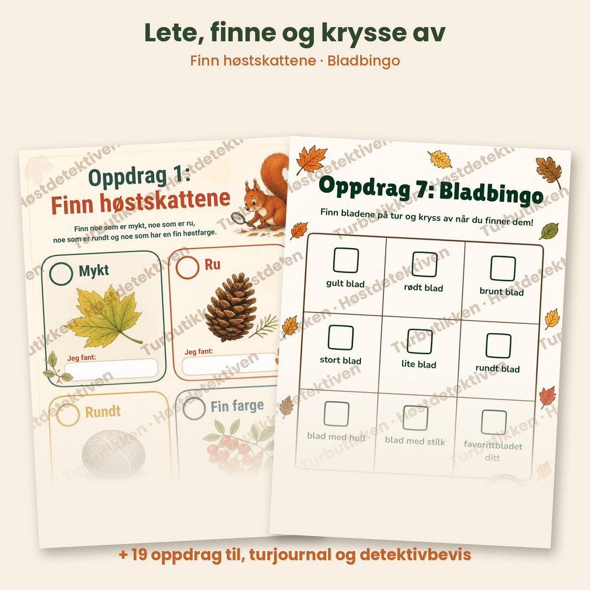 Smakebit fra Høstdetektiven som viser oppdragene Finn høstskattene og Bladbingo