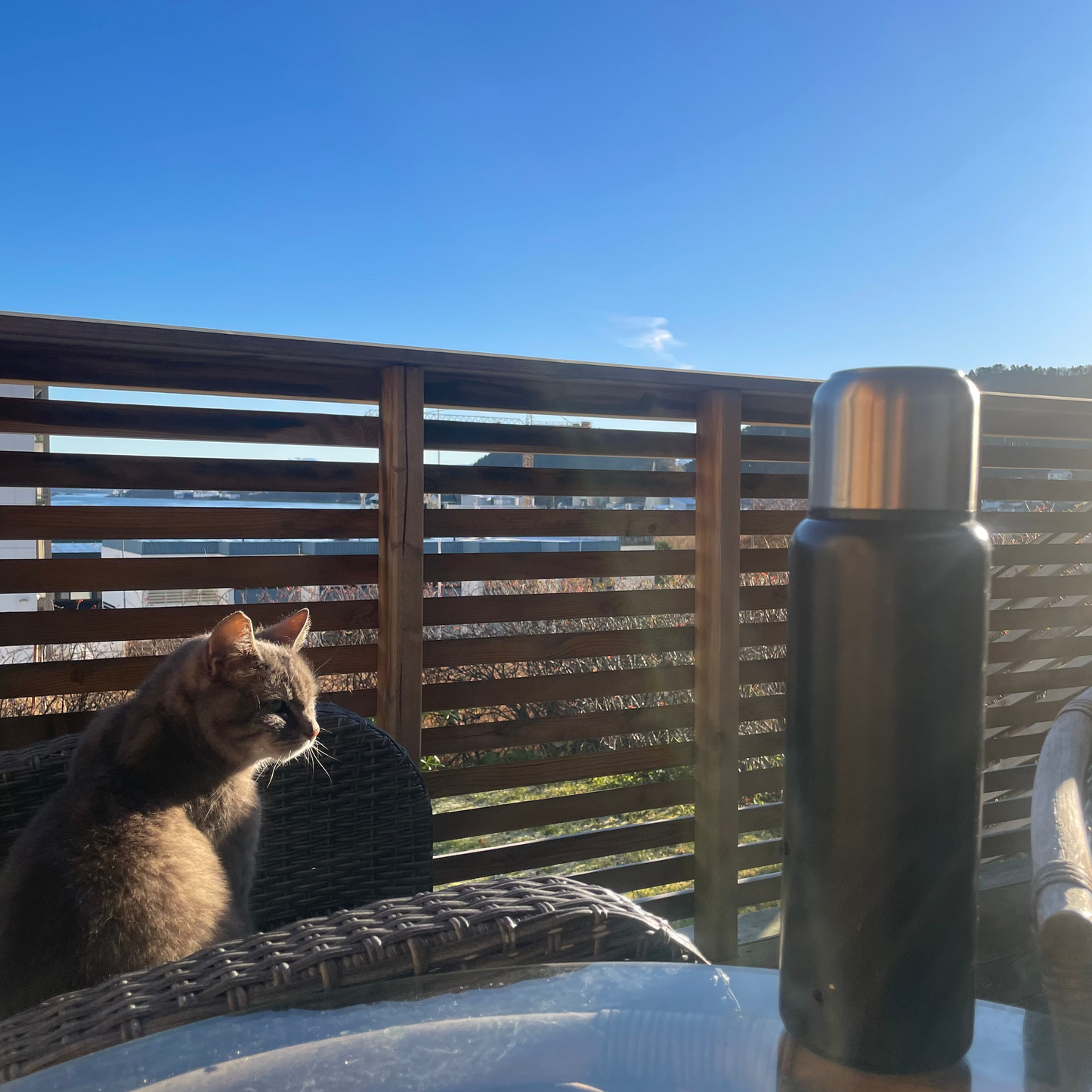 Termos i rostfritt stål med dubbel väggisolering 