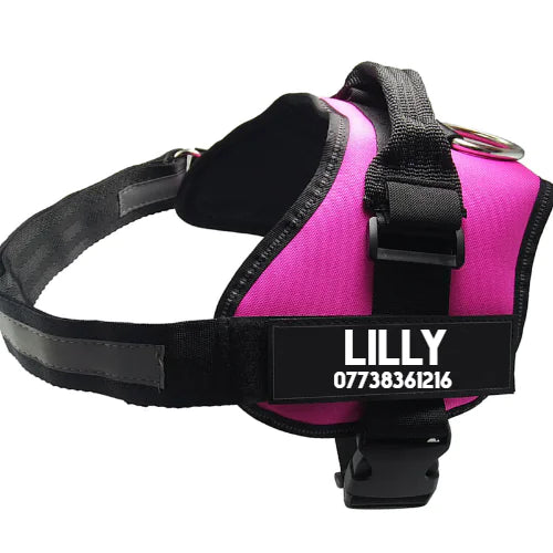 Rosa justerbar hundesele i slitesterk nylon med refleks og solid spenne, egnet for turer og trening.

